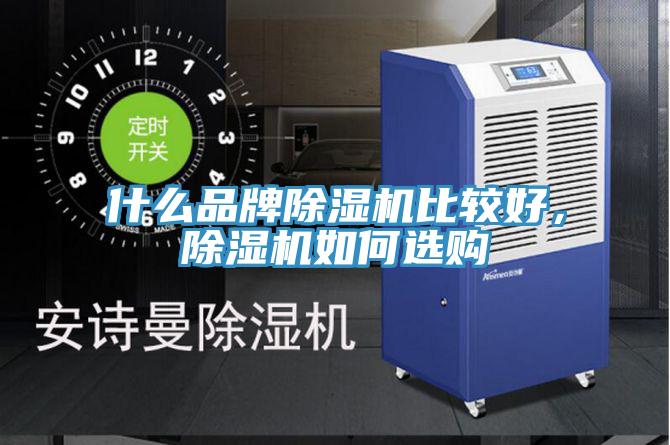 什麽品牌蘑菇视频网站比較好，蘑菇视频网站如何選購