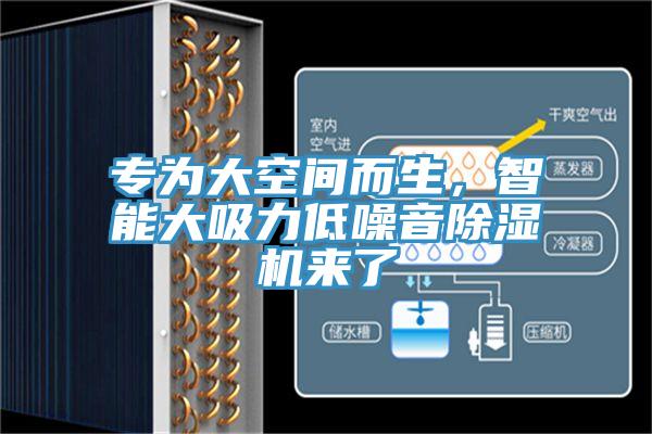 專為大空間而生，智能大吸力低噪音蘑菇视频网站來了