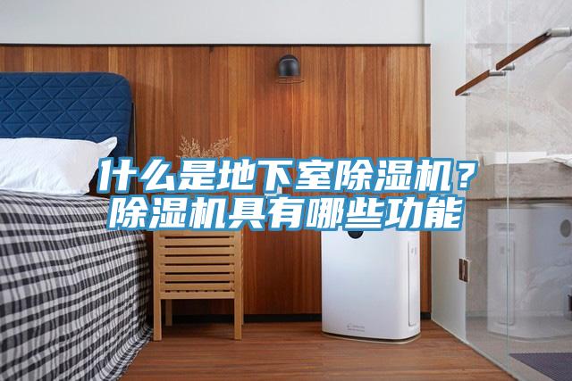 什麽是地下室蘑菇视频网站？蘑菇视频网站具有哪些功能