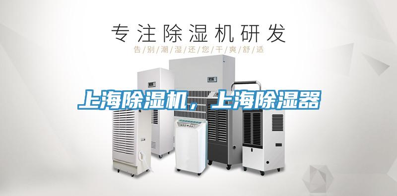 上海蘑菇视频网站，上海除濕器
