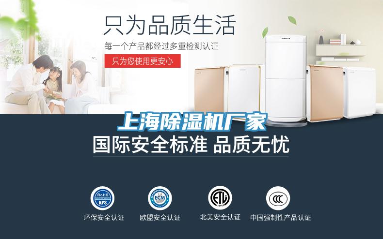 上海蘑菇视频网站廠家