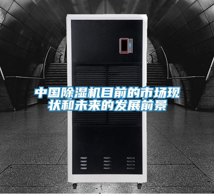 中國蘑菇视频网站目前的市場現狀和未來的發展前景