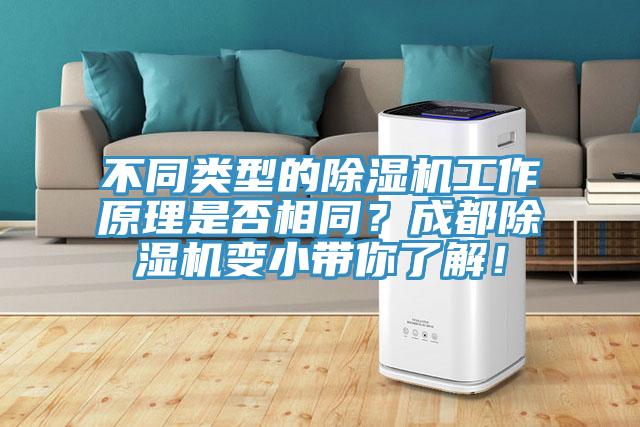 不同類型的蘑菇视频网站工作原理是否相同？成都蘑菇视频网站變小帶你了解！