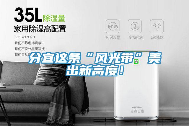 分宜這條“風光帶”美出新高度！