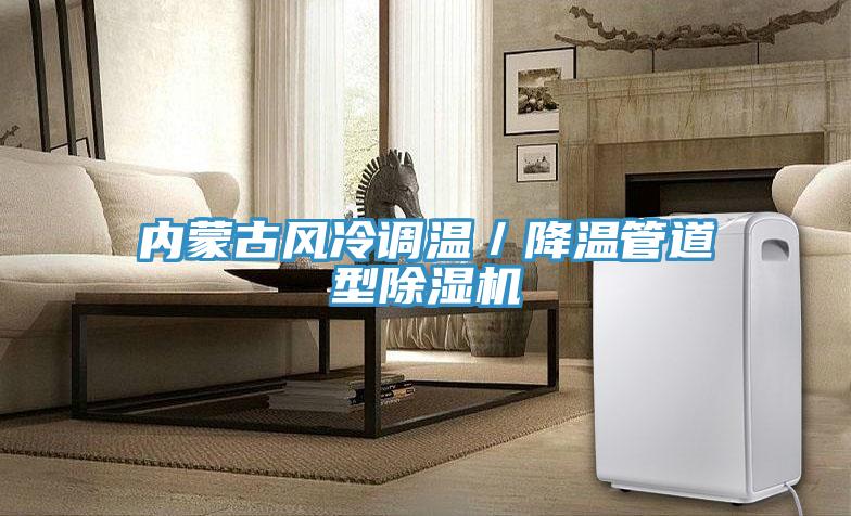 內蒙古風冷調溫／降溫管道型蘑菇视频网站
