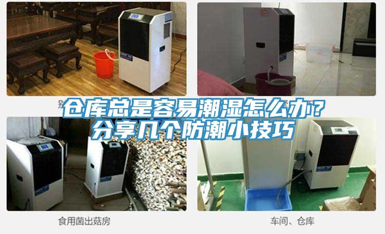 倉庫總是容易潮濕怎麽辦？分享幾個防潮小技巧