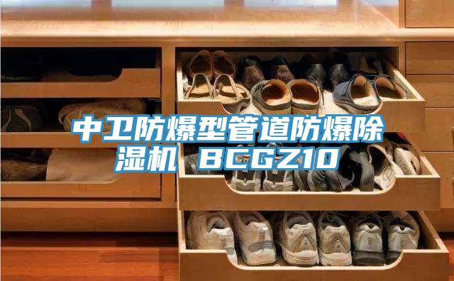 中衛防爆型管道防爆蘑菇视频网站 BCGZ10