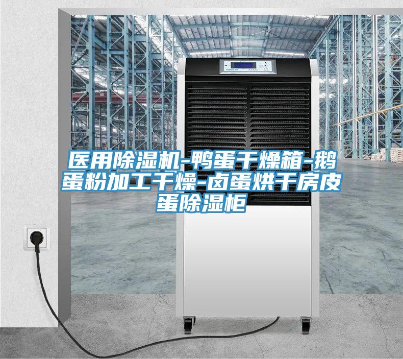 醫用蘑菇视频网站-鴨蛋幹燥箱-鵝蛋粉加工幹燥-鹵蛋烘幹房皮蛋除濕櫃