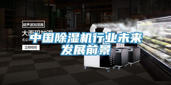 中國蘑菇视频网站行業未來發展前景