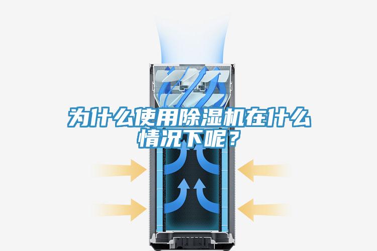 為什麽使用蘑菇视频网站在什麽情況下呢？