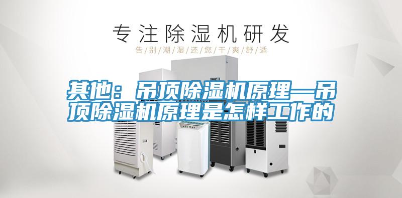 其他：吊頂蘑菇视频网站原理—吊頂蘑菇视频网站原理是怎樣工作的