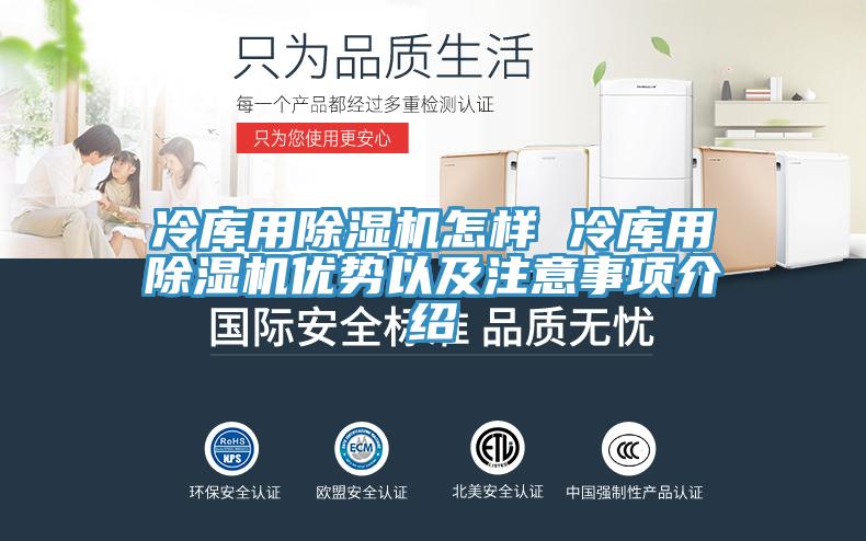 冷庫用蘑菇视频网站怎樣 冷庫用蘑菇视频网站優勢以及注意事項介紹
