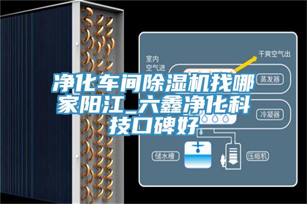 淨化車間蘑菇视频网站找哪家陽江_六鑫淨化科技口碑好