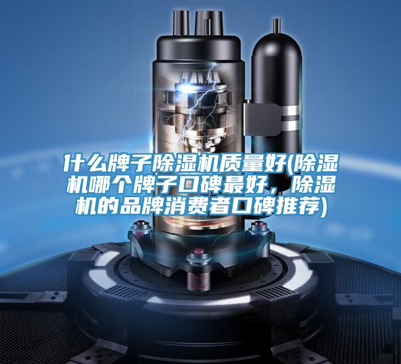 什麽牌子蘑菇视频网站質量好(蘑菇视频网站哪個牌子口碑最好，蘑菇视频网站的品牌消費者口碑推薦)