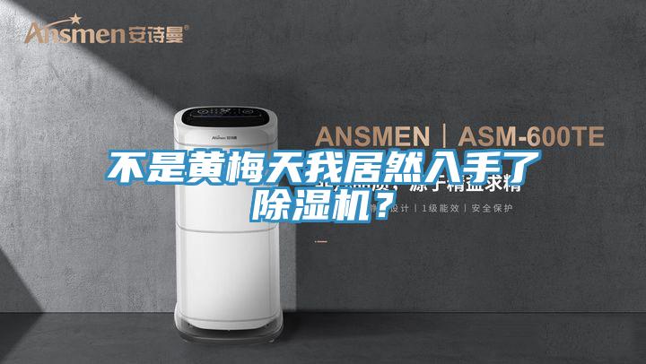 不是黃梅天我居然入手了蘑菇视频网站？