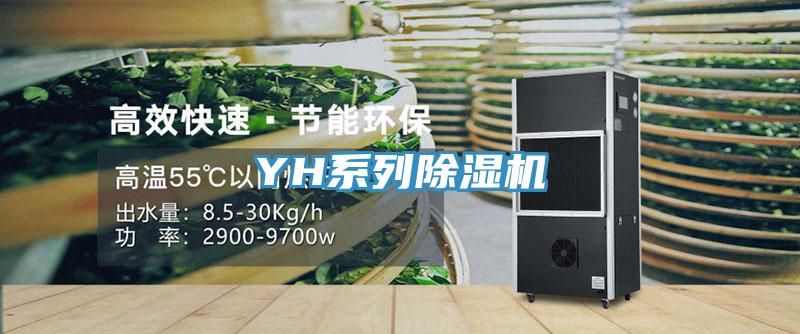 YH係列蘑菇视频网站