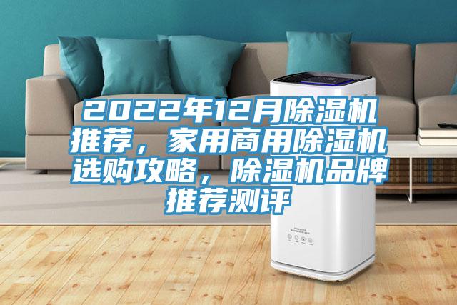 2022年12月蘑菇视频网站推薦，家用商用蘑菇视频网站選購攻略，蘑菇视频网站品牌推薦測評