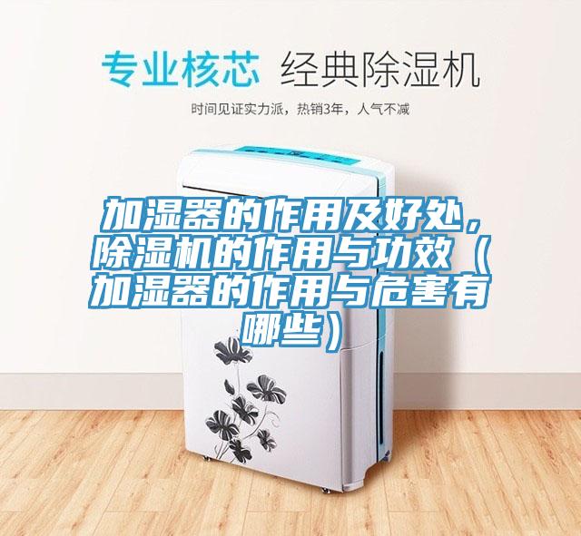 加濕器的作用及好處，蘑菇视频网站的作用與功效（加濕器的作用與危害有哪些）