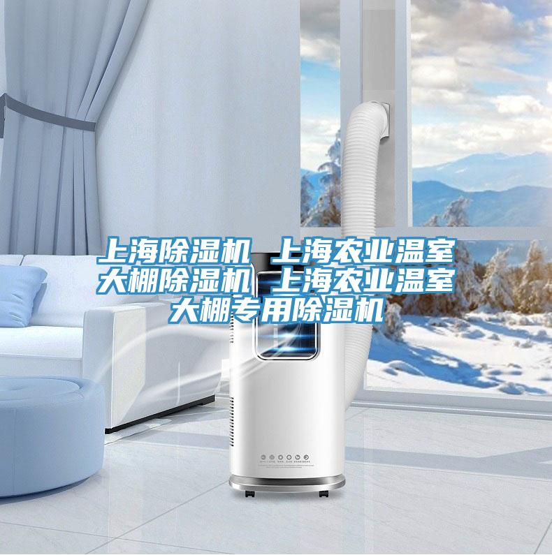 上海蘑菇视频网站 上海農業溫室大棚蘑菇视频网站 上海農業溫室大棚專用蘑菇视频网站