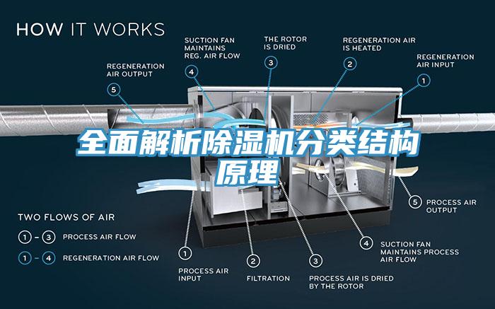 全麵解析蘑菇视频网站分類結構原理