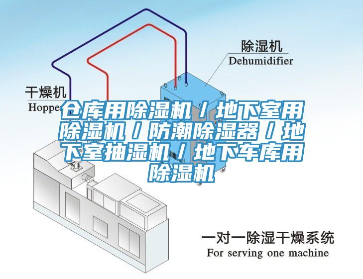 倉庫用蘑菇视频网站／地下室用蘑菇视频网站／防潮除濕器／地下室抽濕機／地下車庫用蘑菇视频网站