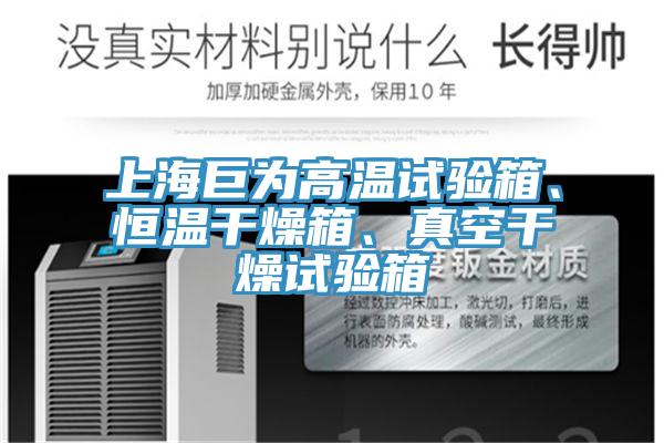上海巨為高溫試驗箱、恒溫幹燥箱、真空幹燥試驗箱