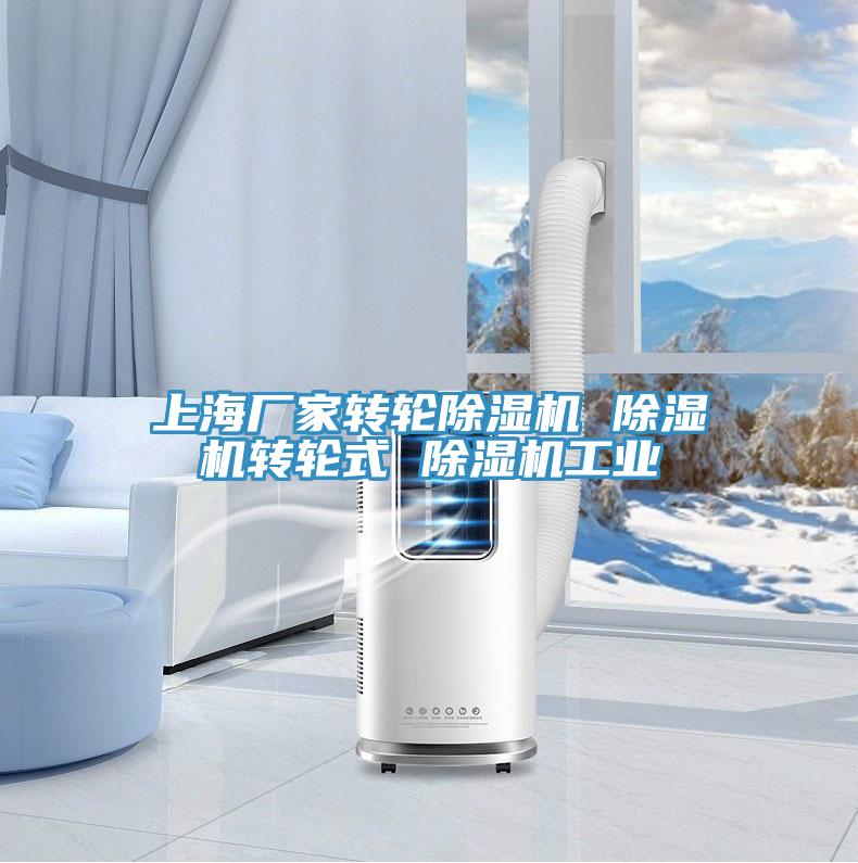上海廠家轉輪蘑菇视频网站 蘑菇视频网站轉輪式 蘑菇视频网站工業