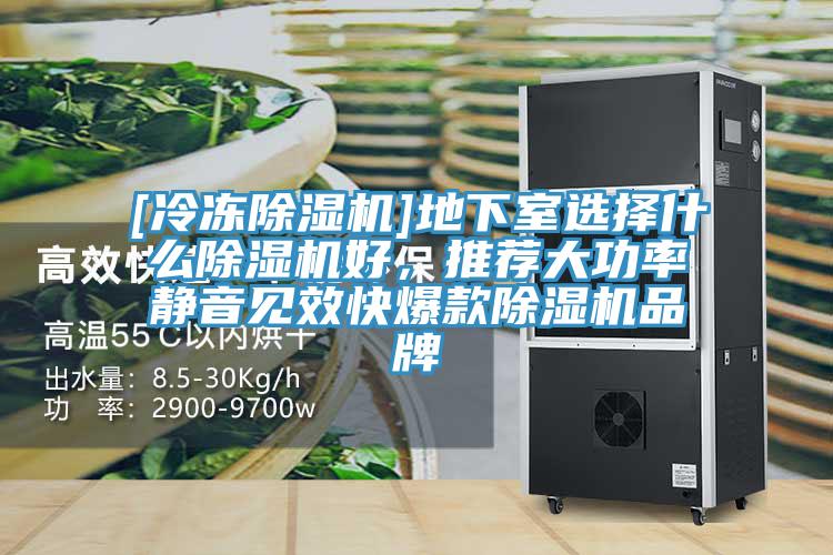 [冷凍蘑菇视频网站]地下室選擇什麽蘑菇视频网站好，推薦大功率靜音見效快爆款蘑菇视频网站品牌