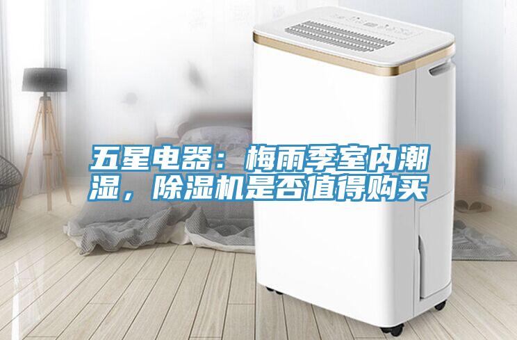 五星電器：梅雨季室內潮濕，蘑菇视频网站是否值得購買
