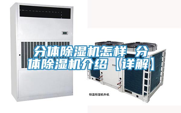 分體蘑菇视频网站怎樣 分體蘑菇视频网站介紹【詳解】