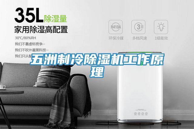 五洲製冷蘑菇视频网站工作原理
