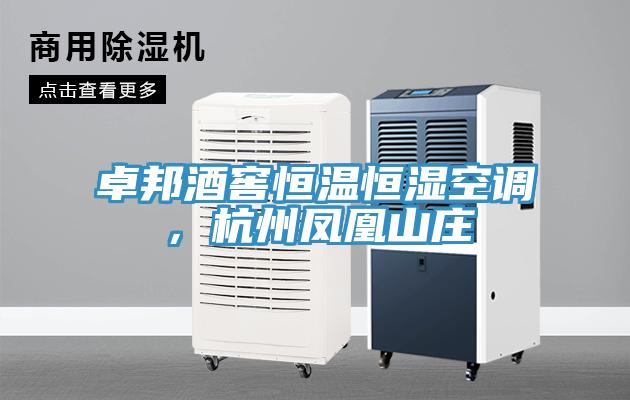 卓邦酒窖恒溫恒濕空調，杭州鳳凰山莊