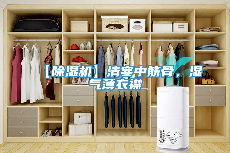 【蘑菇视频网站】清寒中筋骨，濕氣薄衣襟