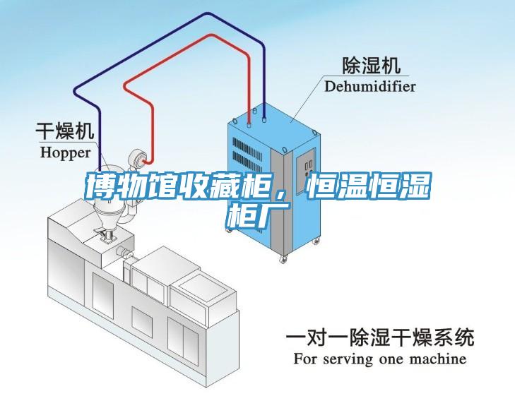 博物館收藏櫃，恒溫恒濕櫃廠