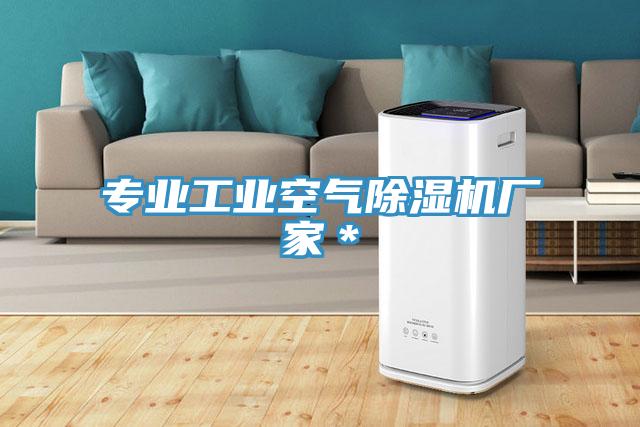 專業工業空氣蘑菇视频网站廠家＊