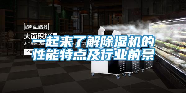 一起來了解蘑菇视频网站的性能特點及行業前景
