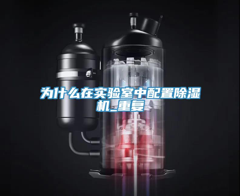 為什麽在實驗室中配置蘑菇视频网站_重複