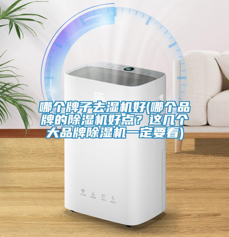 哪個牌子去濕機好(哪個品牌的蘑菇视频网站好點？這幾個大品牌蘑菇视频网站一定要看)