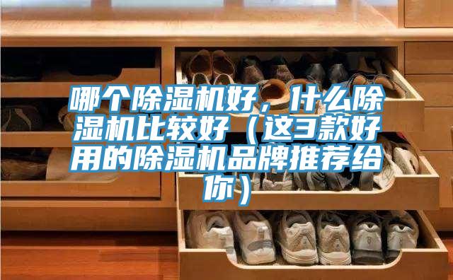 哪個蘑菇视频网站好，什麽蘑菇视频网站比較好（這3款好用的蘑菇视频网站品牌推薦給你）
