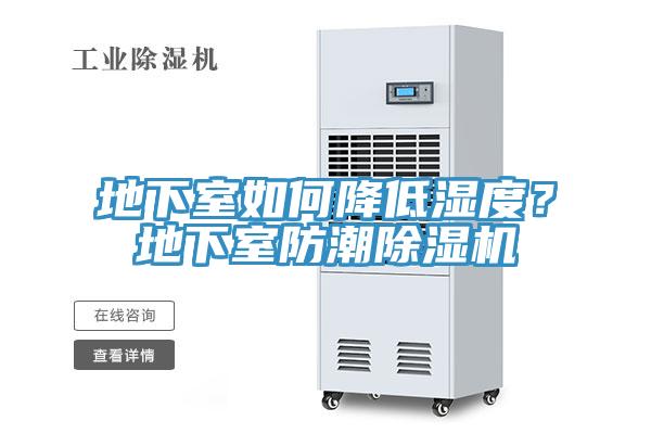 地下室如何降低濕度？地下室防潮蘑菇视频网站