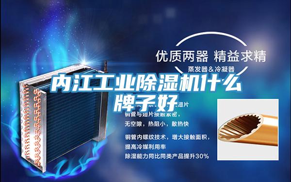 內江工業蘑菇视频网站什麽牌子好