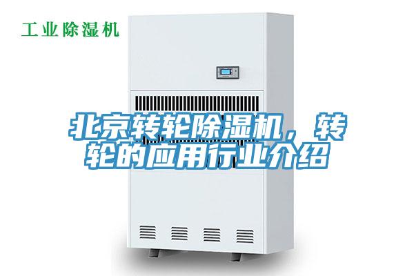 北京轉輪蘑菇视频网站，轉輪的應用行業介紹