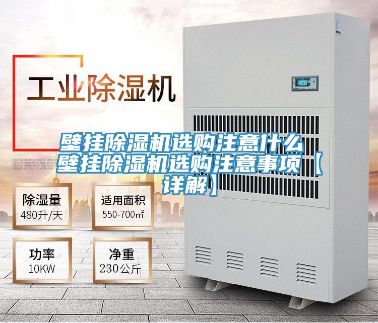 壁掛蘑菇视频网站選購注意什麽 壁掛蘑菇视频网站選購注意事項【詳解】