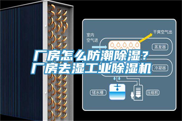 廠房怎麽防潮除濕？廠房去濕工業蘑菇视频网站