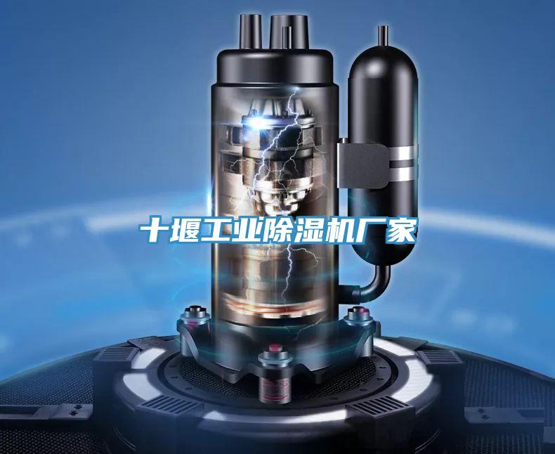 十堰工業蘑菇视频网站廠家