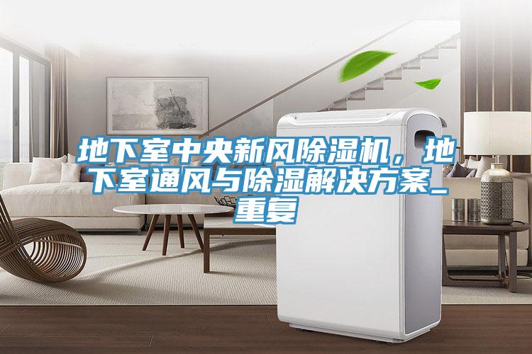 地下室中央新風蘑菇视频网站，地下室通風與除濕解決方案_重複