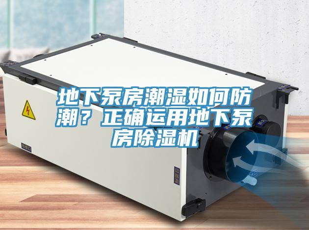 地下泵房潮濕如何防潮？正確運用地下泵房蘑菇视频网站