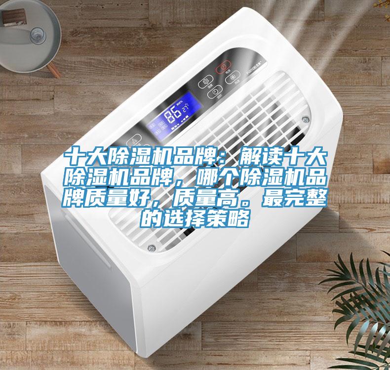 十大蘑菇视频网站品牌：解讀十大蘑菇视频网站品牌，哪個蘑菇视频网站品牌質量好，質量高。最完整的選擇策略