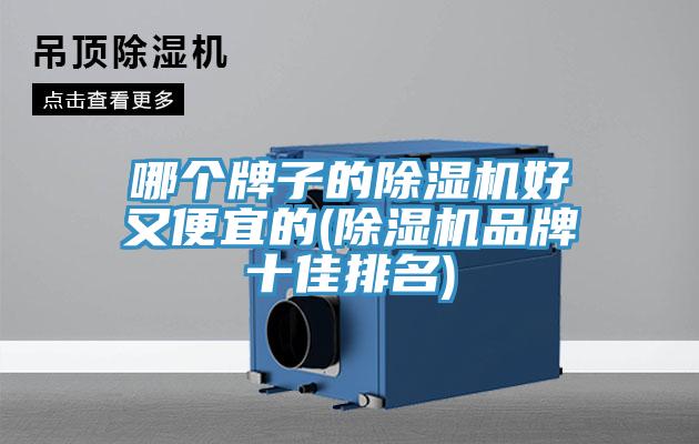 哪個牌子的蘑菇视频网站好又便宜的(蘑菇视频网站品牌十佳排名)
