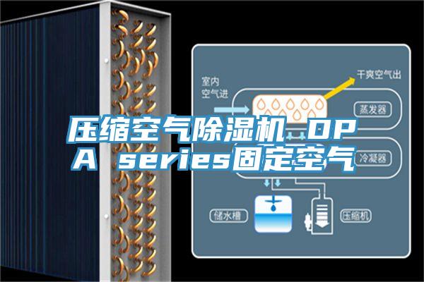 壓縮空氣蘑菇视频网站 DPA series固定空氣